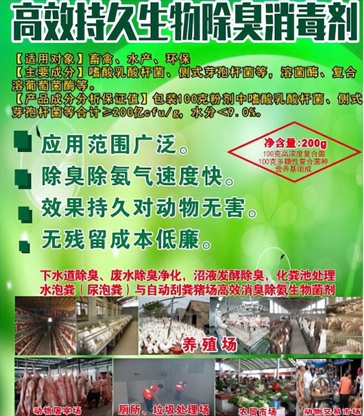 怎么把受猪场尿粪污染的鱼塘净化重新养鱼？广东这位老板告诉你
