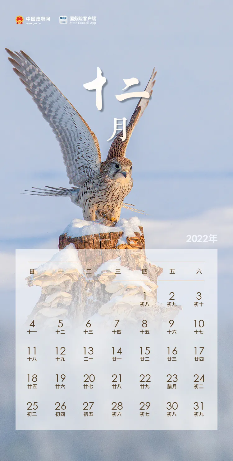 最新！放假通知