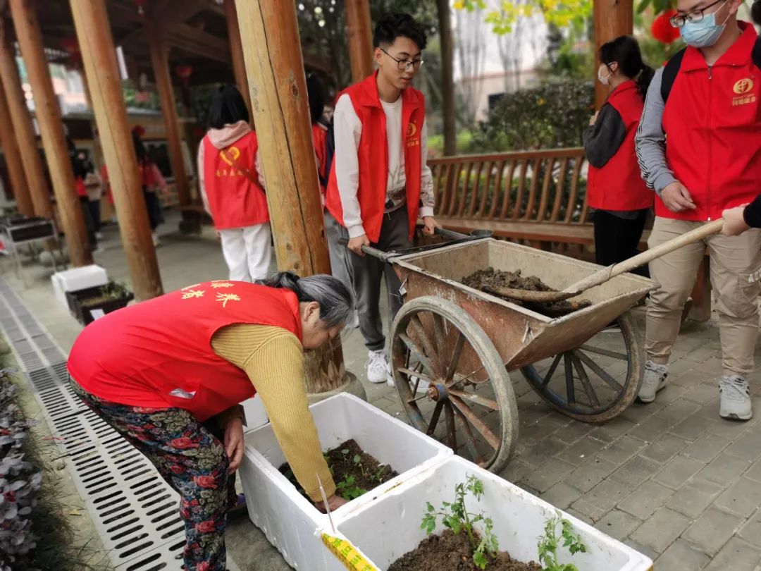 不亦乐乎！养老院可以种菜了