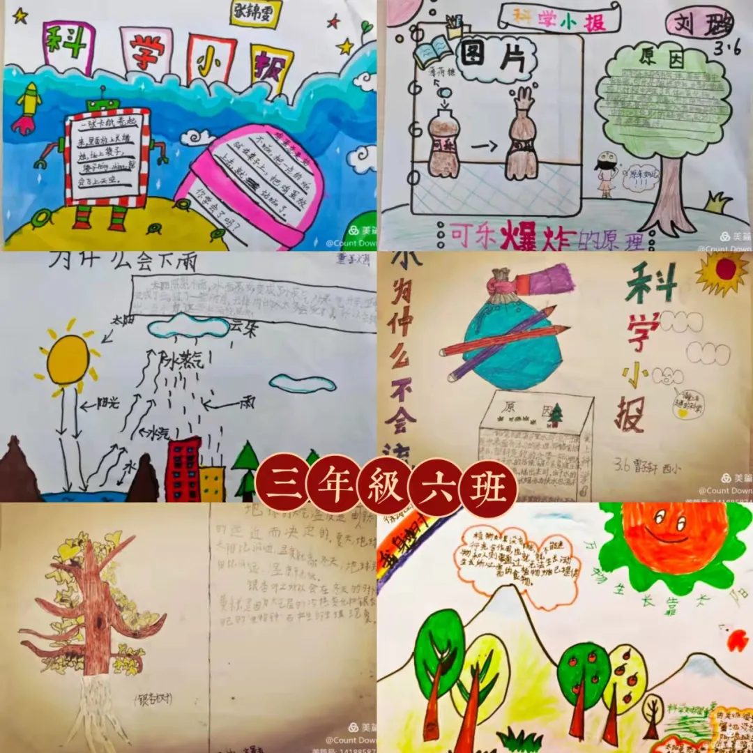 落实“双减”，西航港小学在行动（七）