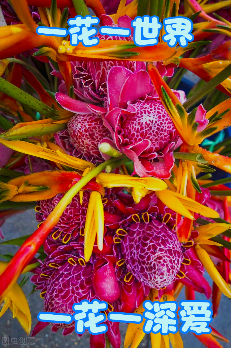 一花一世界，一花一深爱，只要与花相遇，就念在心里，爱到永久