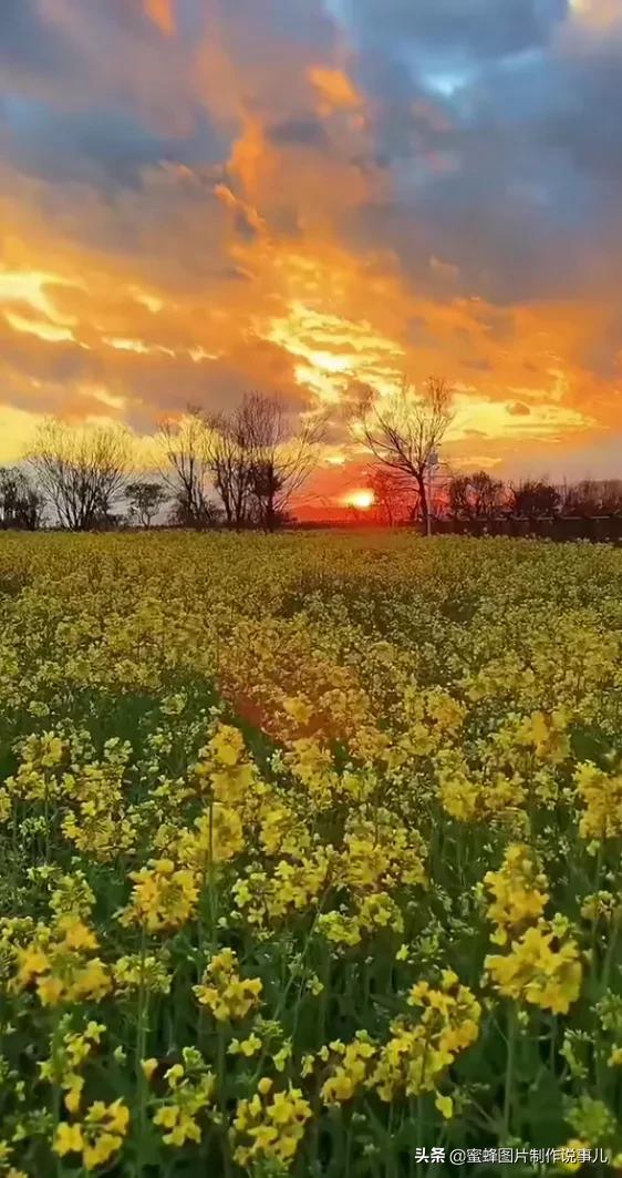 壁纸美图,自然美景如诗如画