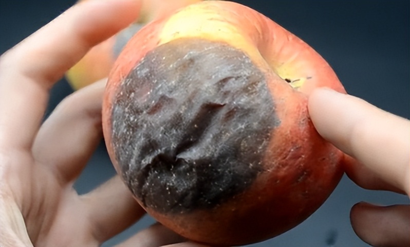 夏季食物更容易腐敗變質，請謹防食物中毒