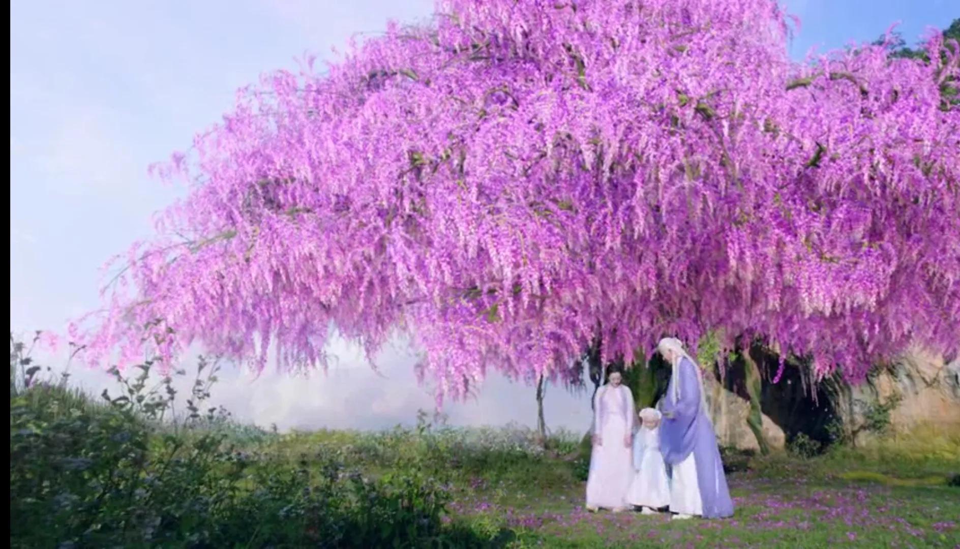 已经N刷超过十遍的《三生三世枕上书》