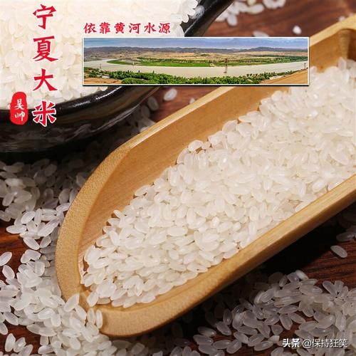 中国十大优质大米 宁夏珍珠米上榜，第一产于黑龙江