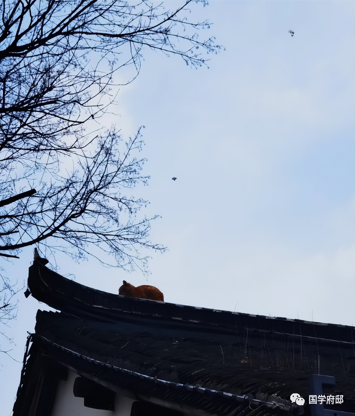 风筝，最美春日诗词