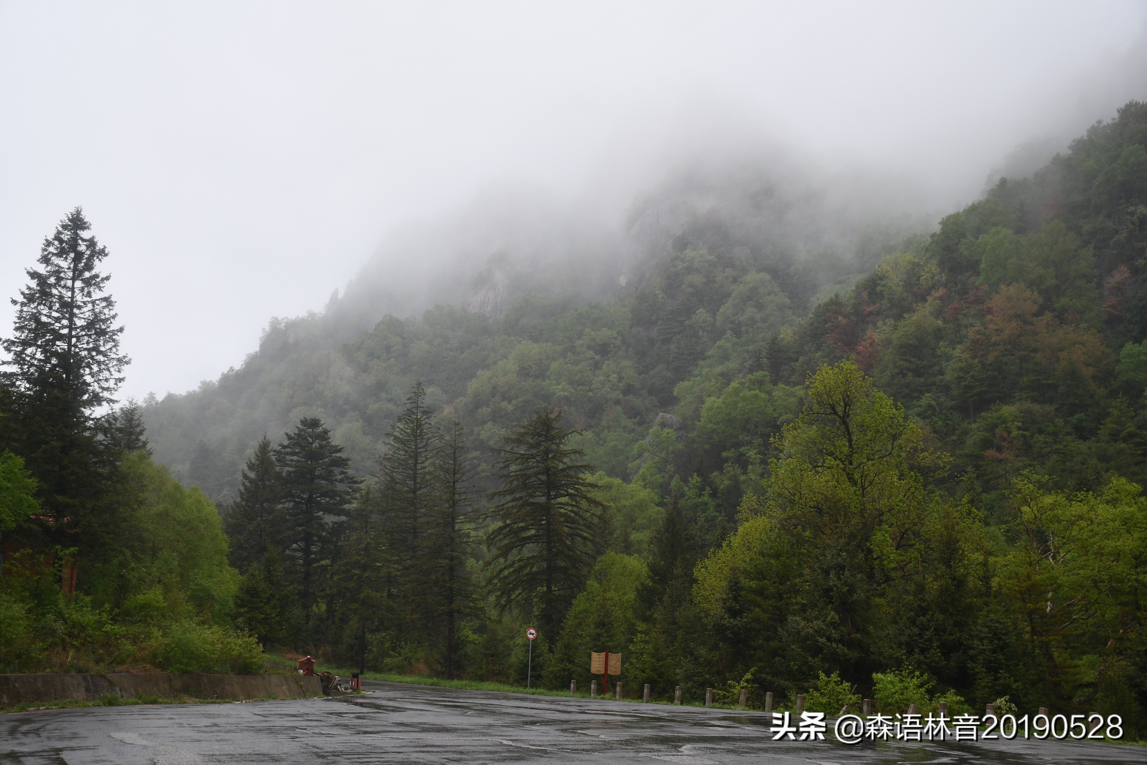 烟雨通天河 丹青水墨画——送你一个夏天“趣”通天河的理由