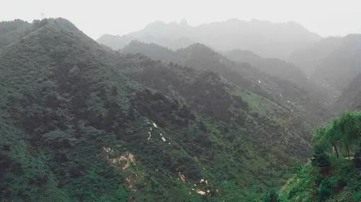 无边春雨细如愁，描写愁最好的九首古诗词，且看愁都是什么样的？