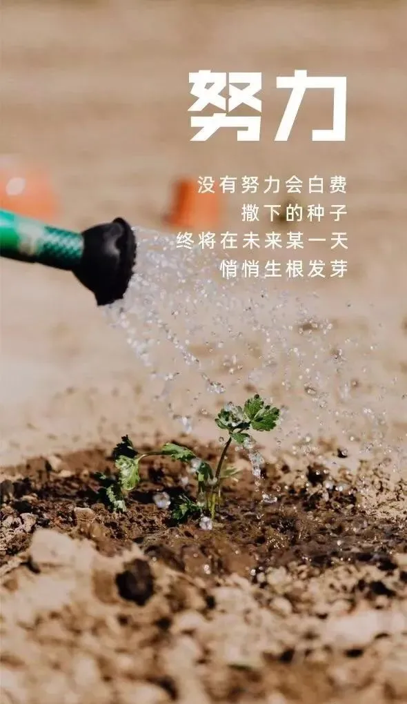 「2022.01.27」早安心语,正能量精选语录说说,很酷的早上好图片