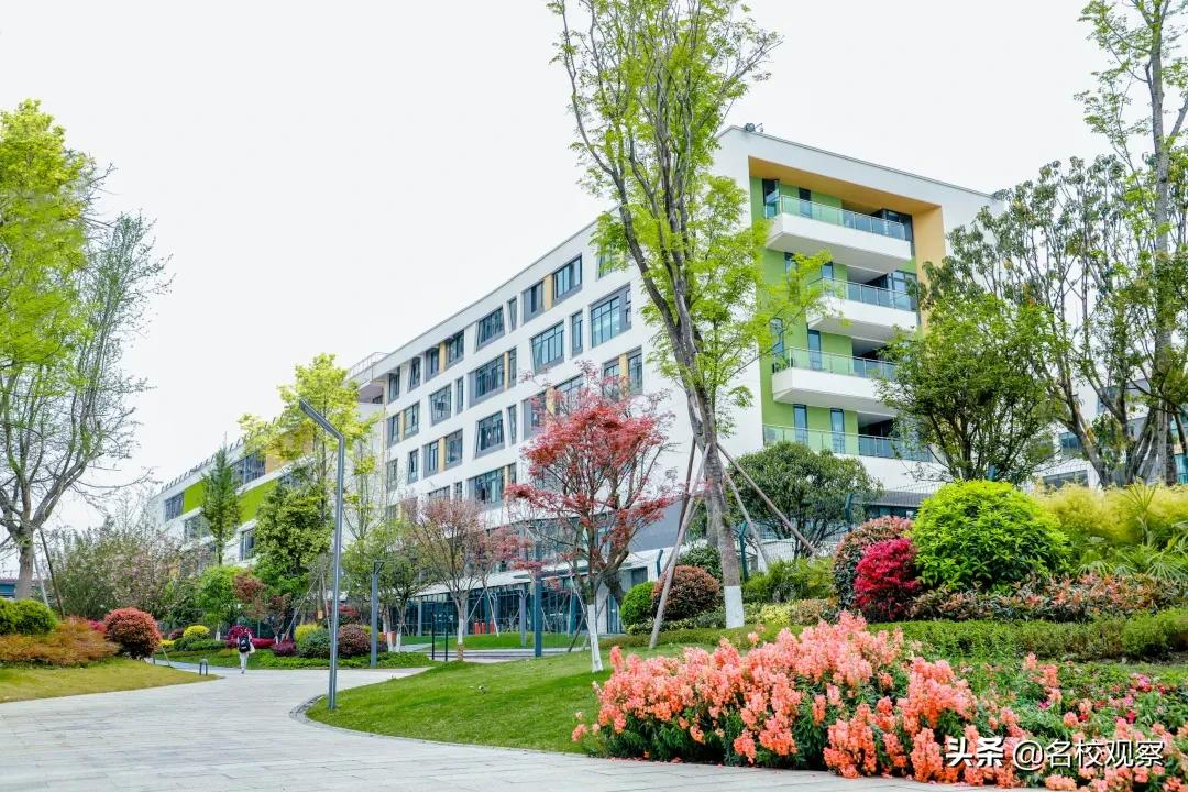 2022年春季优秀教师招聘公告，金苹果锦城一中等你来