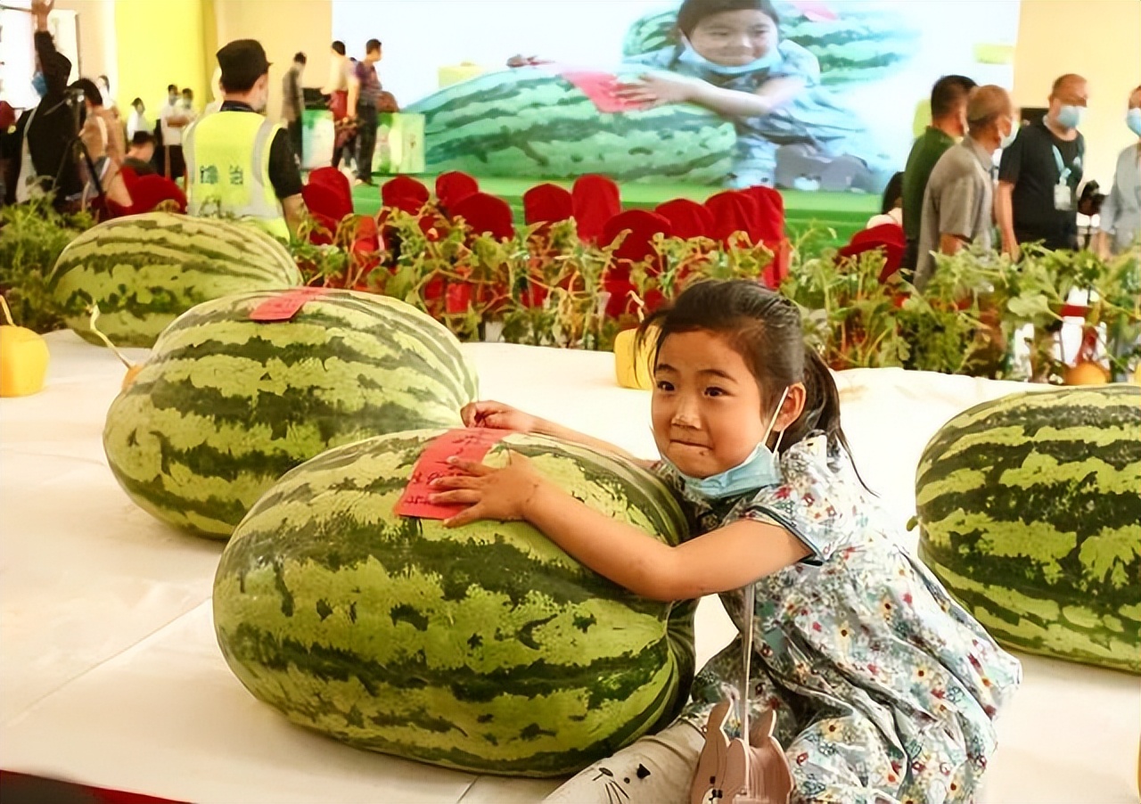 中国人的夏天，全靠西瓜续命