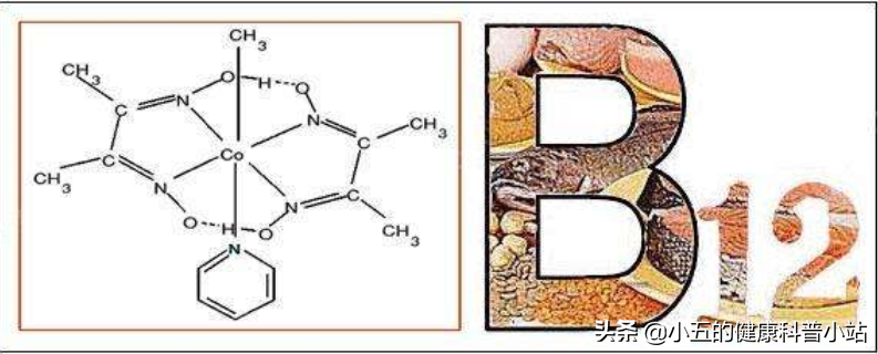 便宜的维生素B12是营养神经、改善贫血的良药，服用时应注意5点