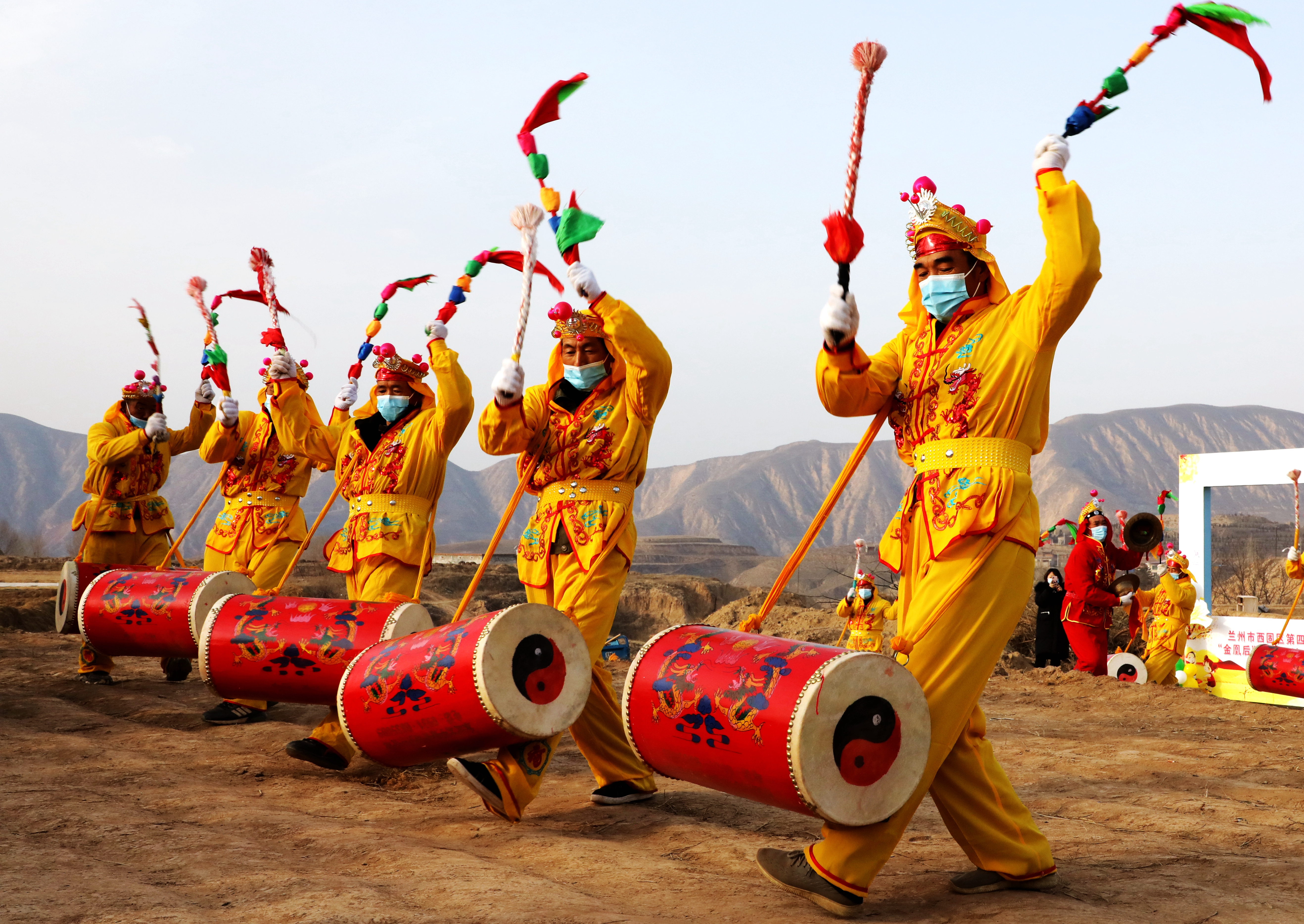 今天，西固区西柳沟街道张家大坪村“金凰后”韭黄开镰啦！