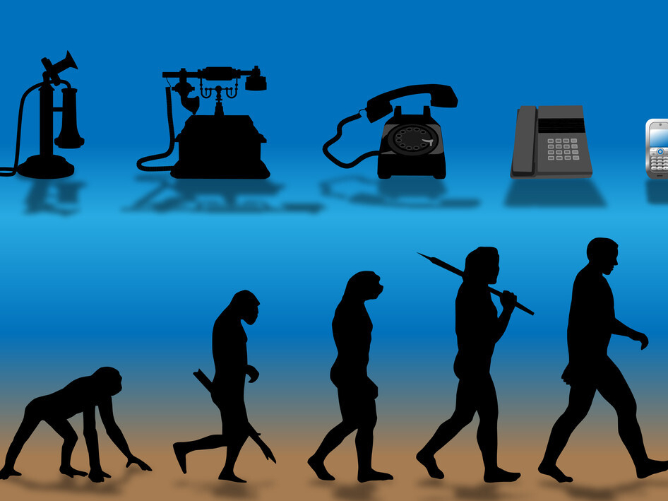 人类到底是从哪里来的?