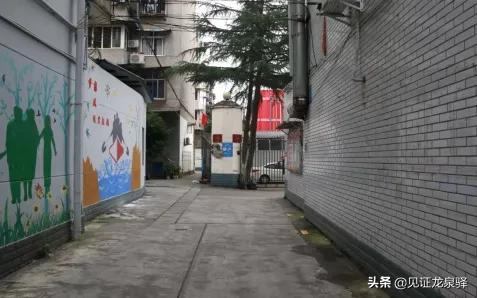 龙泉驿今年再改造老旧小区17个!看看有你家吗?