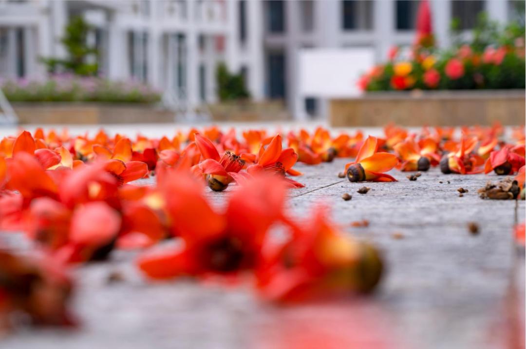 廣州市南沙第一中學(xué)：我在豐澤東路的日子(圖6)