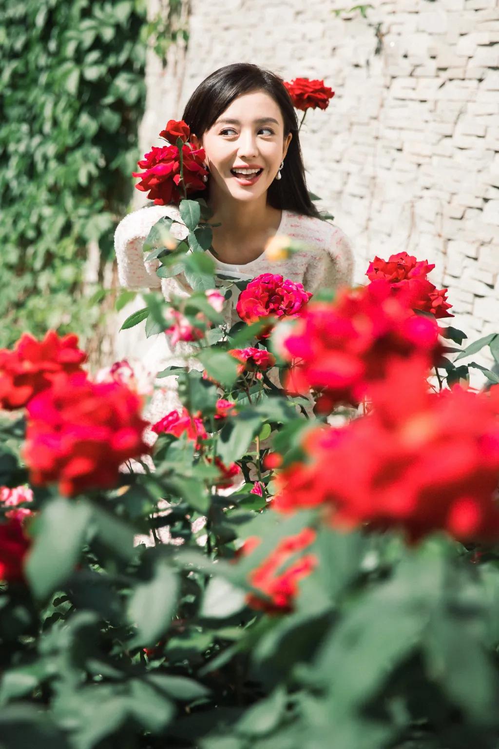 佟丽娅这气质，谁能不喜欢