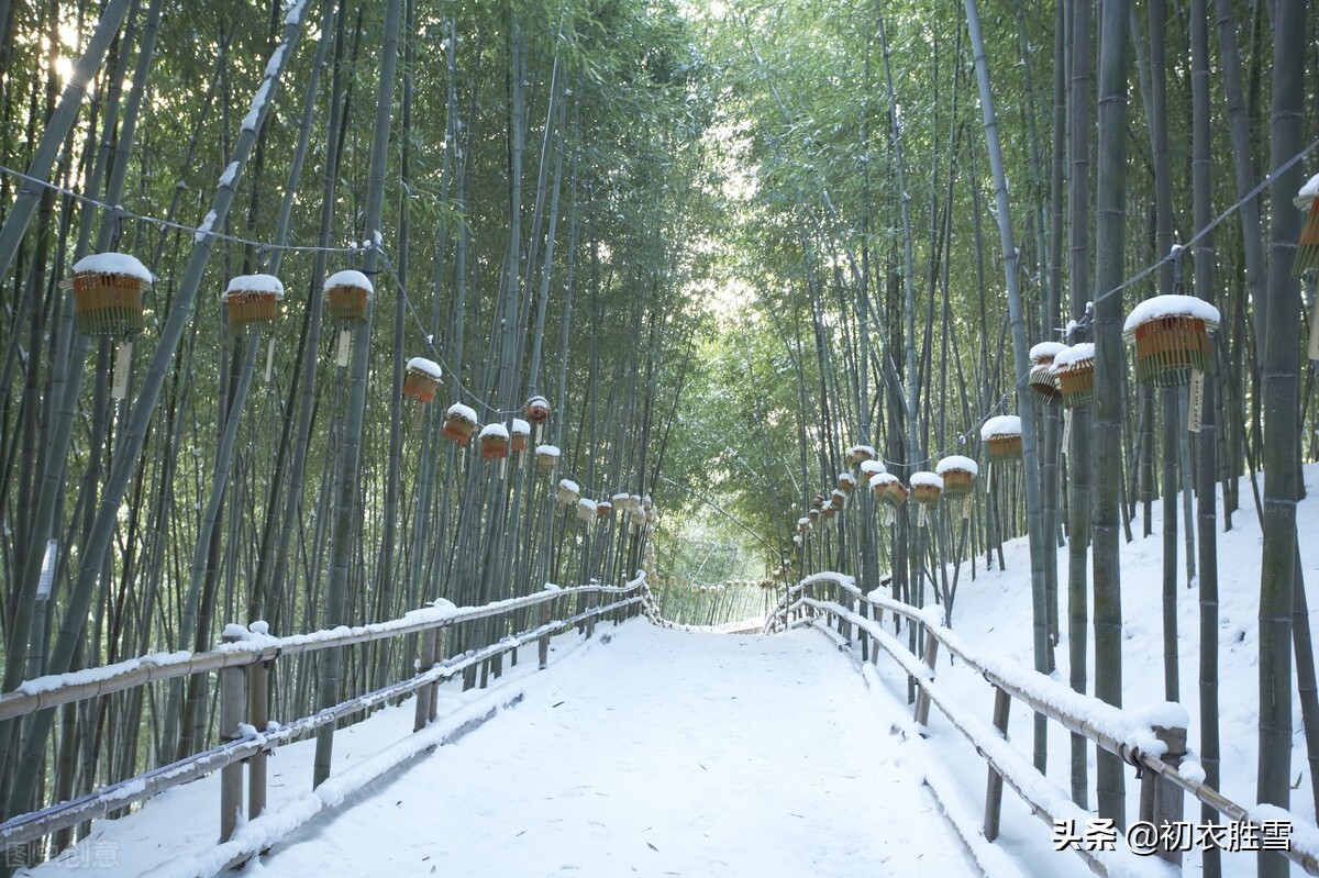 冬至亲情古诗五首：他乡至下心，昨夜阶前雪