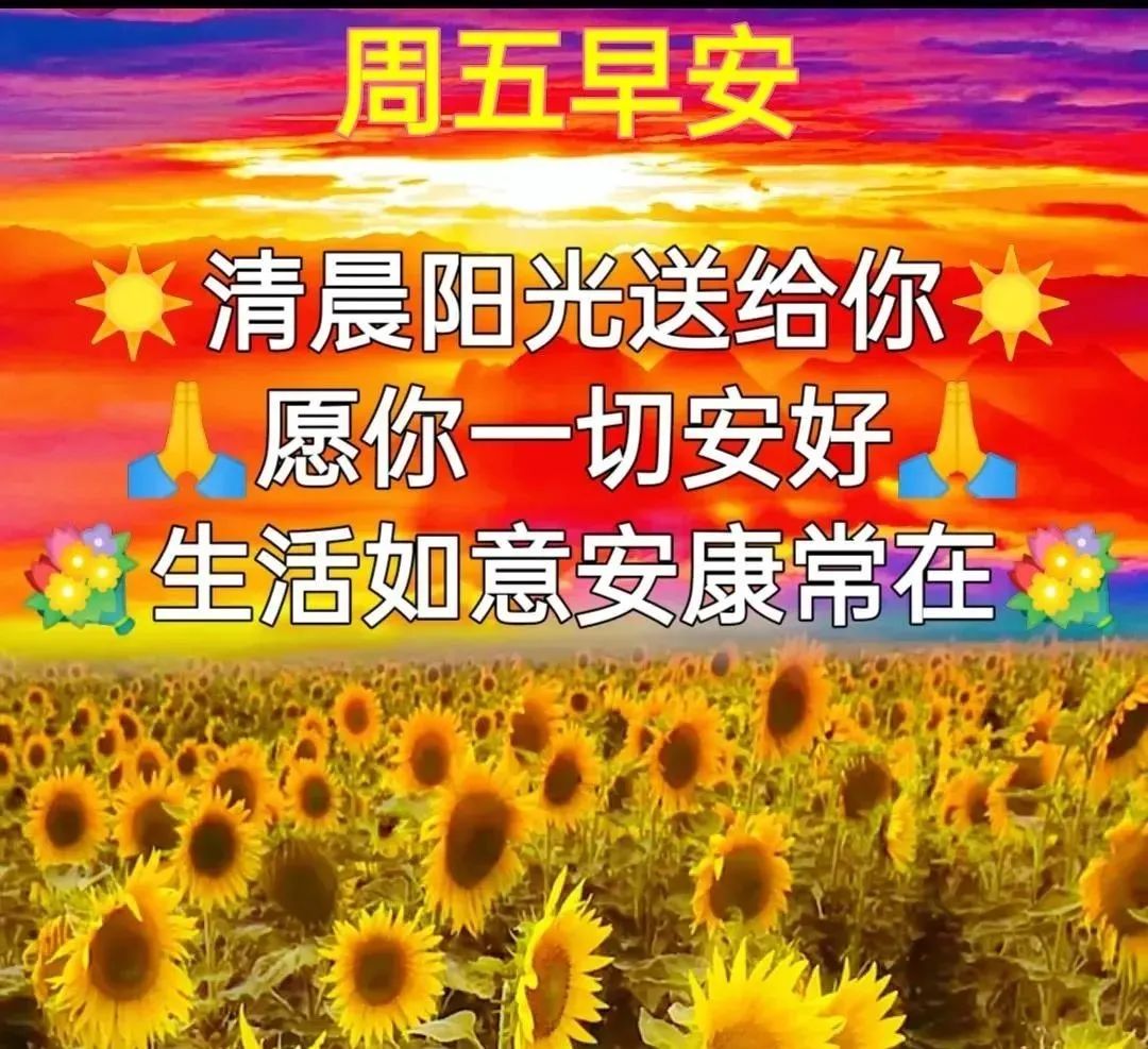 早晨问安：一句祝福，只有真诚的朋友常留心间，早晨好