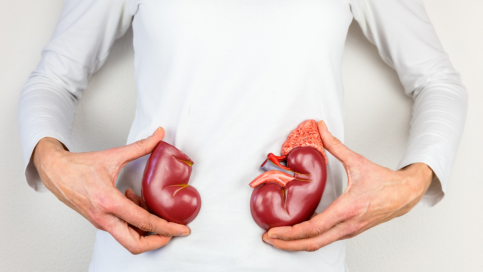 肾病跟哪些原因有关？高危人群有哪些？避免伤肾有哪些养护原则？