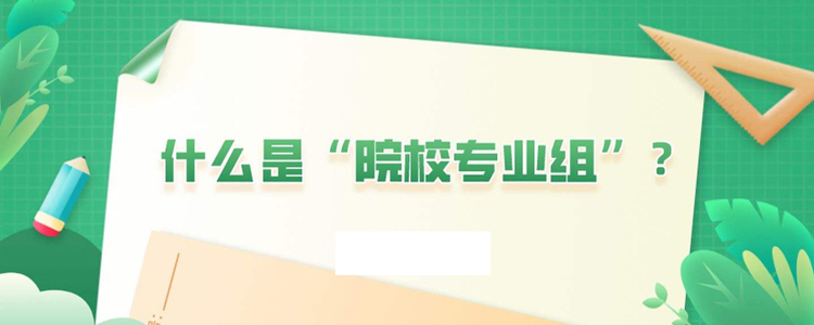 同一所大学，不同的专业组，是算一个还是几个高考志愿？