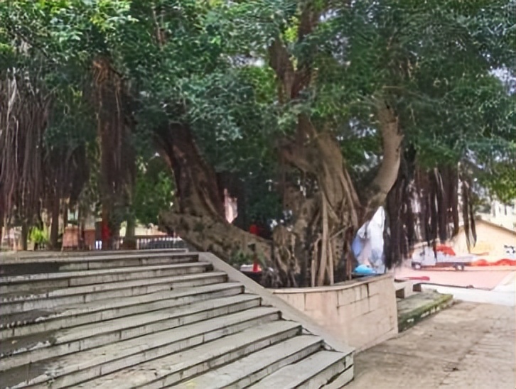 ����֮Դ��--����Լ��̫��ȭ���䣬�����л����㴫ͳ�Ļ�