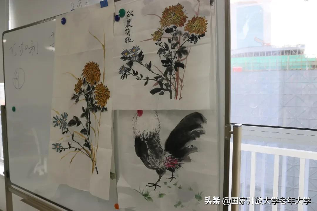 在校园·第九周 | 学习热情会“传染”，跟学员们一起跳起来