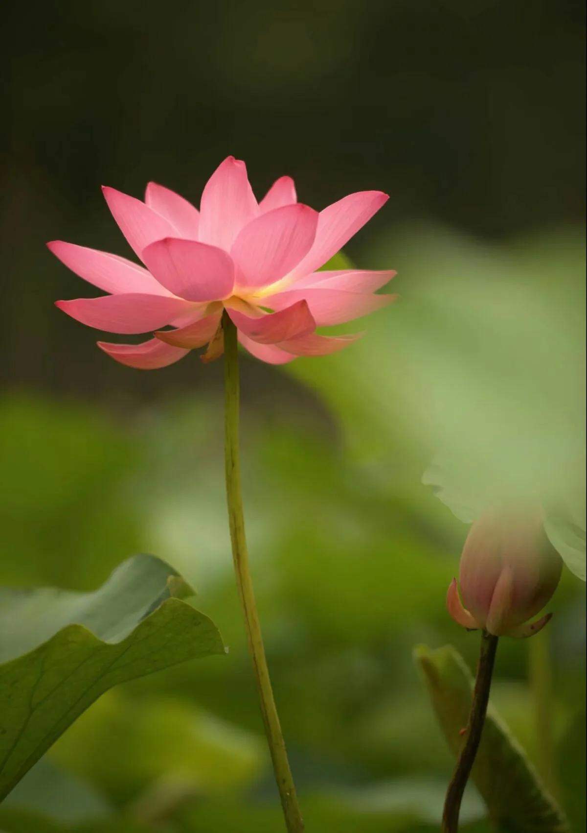 5G时代，更需要修炼5J内功