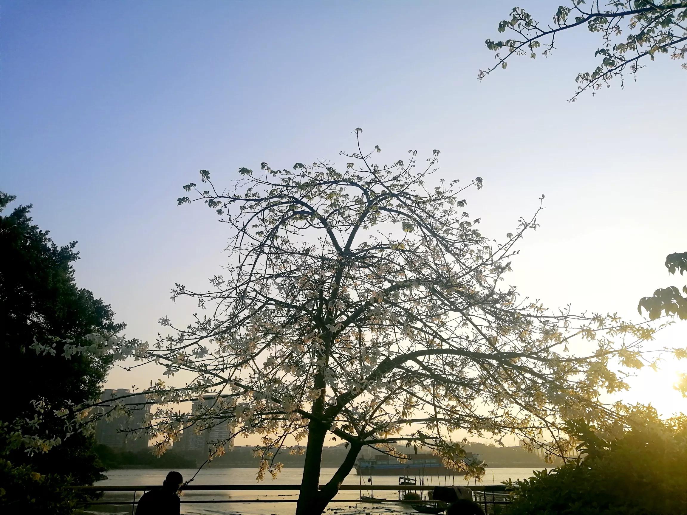 地铁4号线广州大学城一日游，带你体验不一样的大学城风景（A篇）