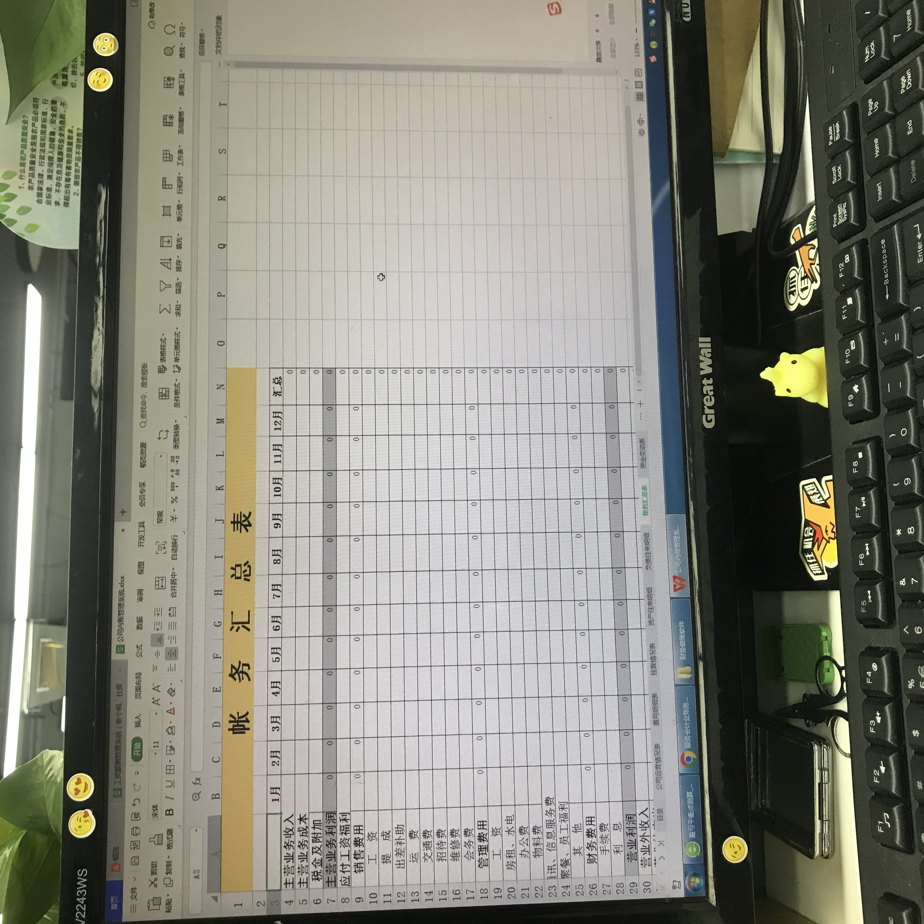 发现一广东24岁女会计，做的公司内账管理系统，合理合规套用