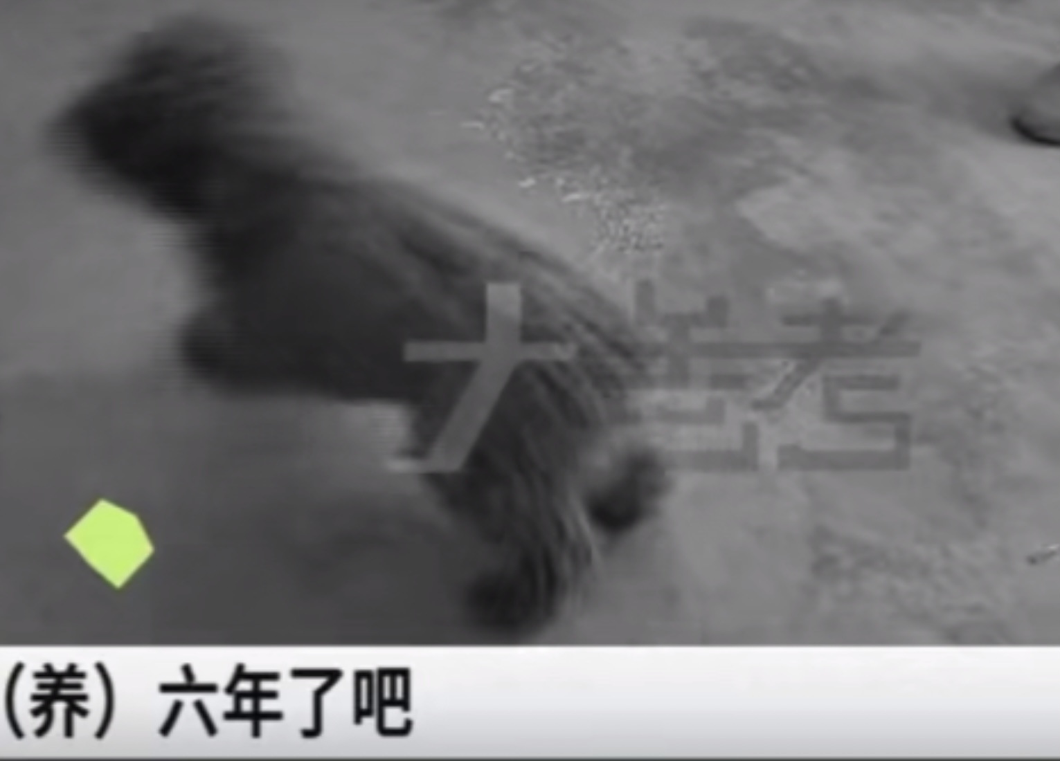 һ_(ki)܇ö䚢񇘵ò҄(dng)жΣU(xin)