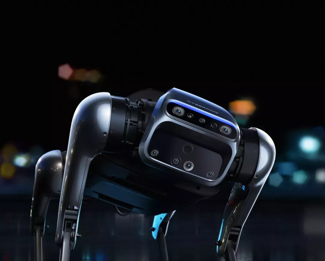 这两位应届生的年终奖，我慕了