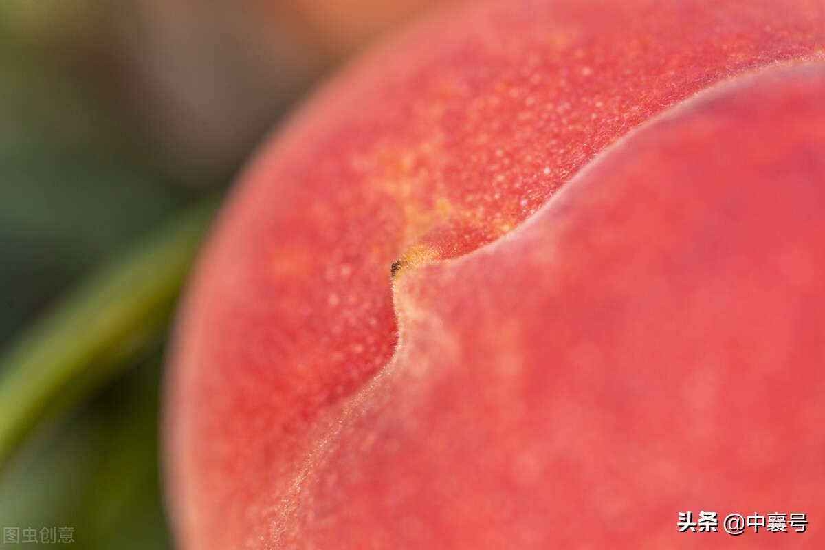 喜报！湖北九地入围国家级名单，将获得中央财政支持