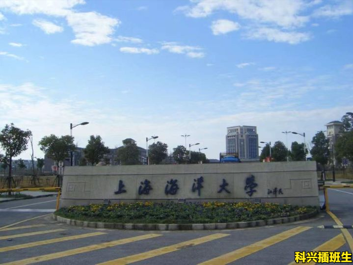 2022年插班生考试回顾：上海插班生考试政策解析