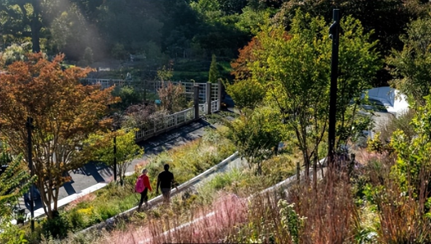 美妙的公园设计，是“纯欲天花板”