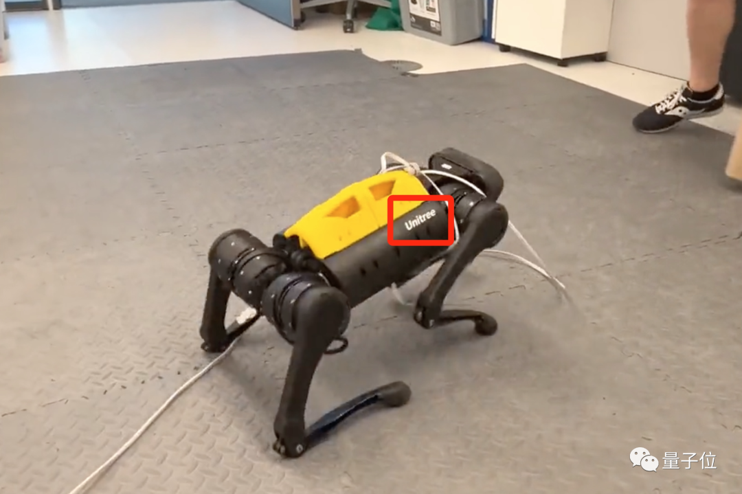 新出生的机器狗，打滚1小时后自己掌握走路，吴恩达大弟子成果