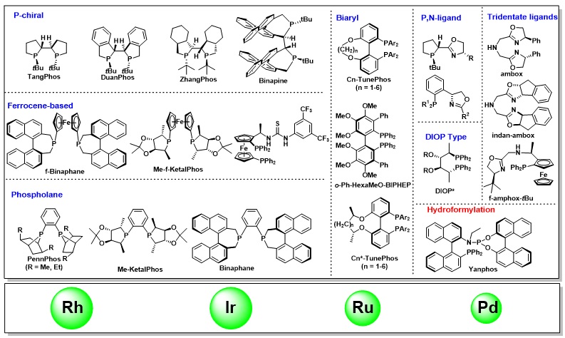 南方科技大学张绪穆教授近年来工作概览