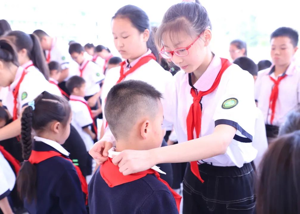 红领巾心向党 争做新时代好队员｜成都市双流区黄甲小学