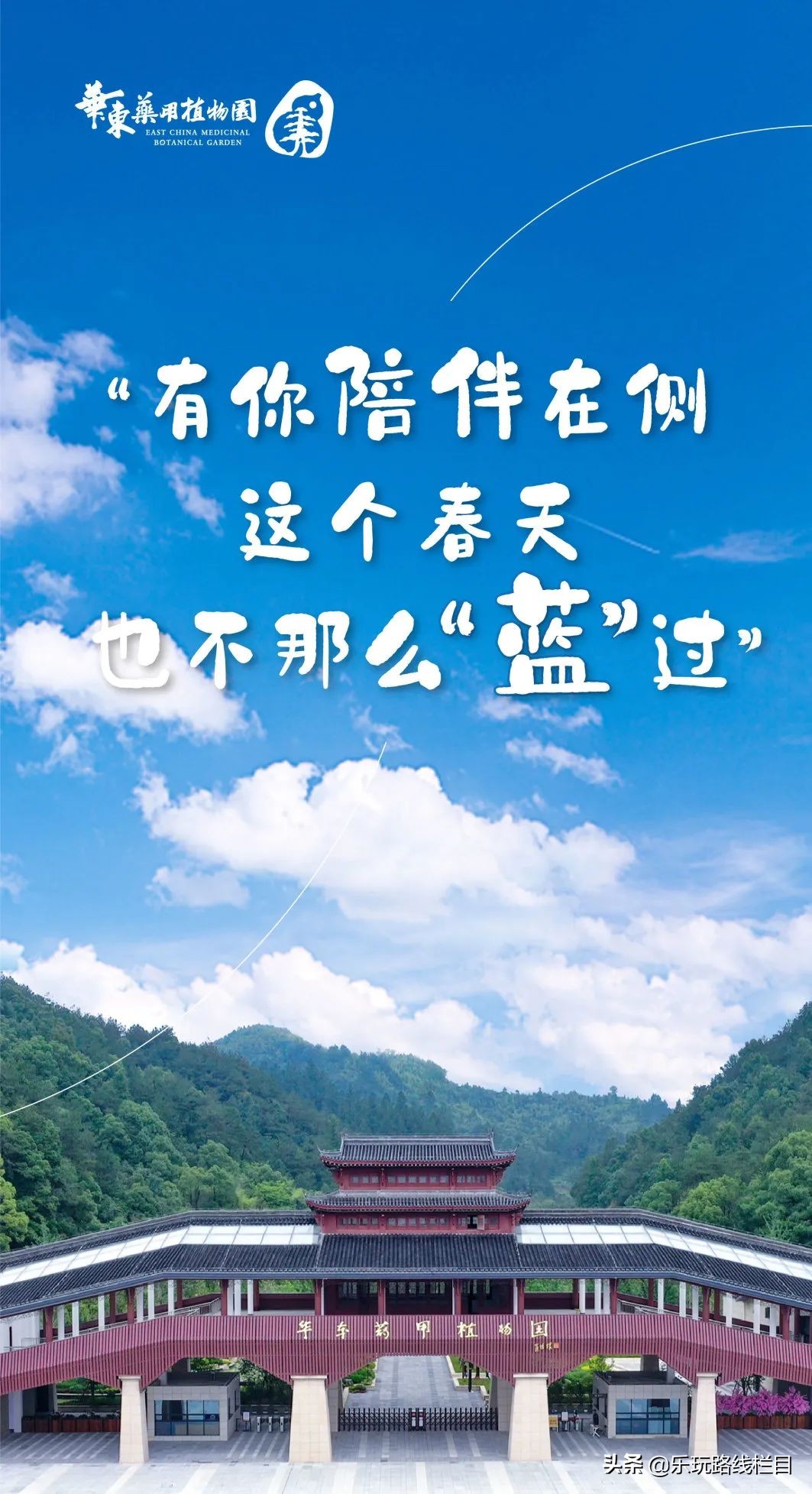 收藏！莲都春游好去处都在这里了