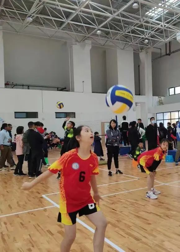 南湖小学荣获“天府共享杯”首届中小学生排球联赛小学乙组冠军