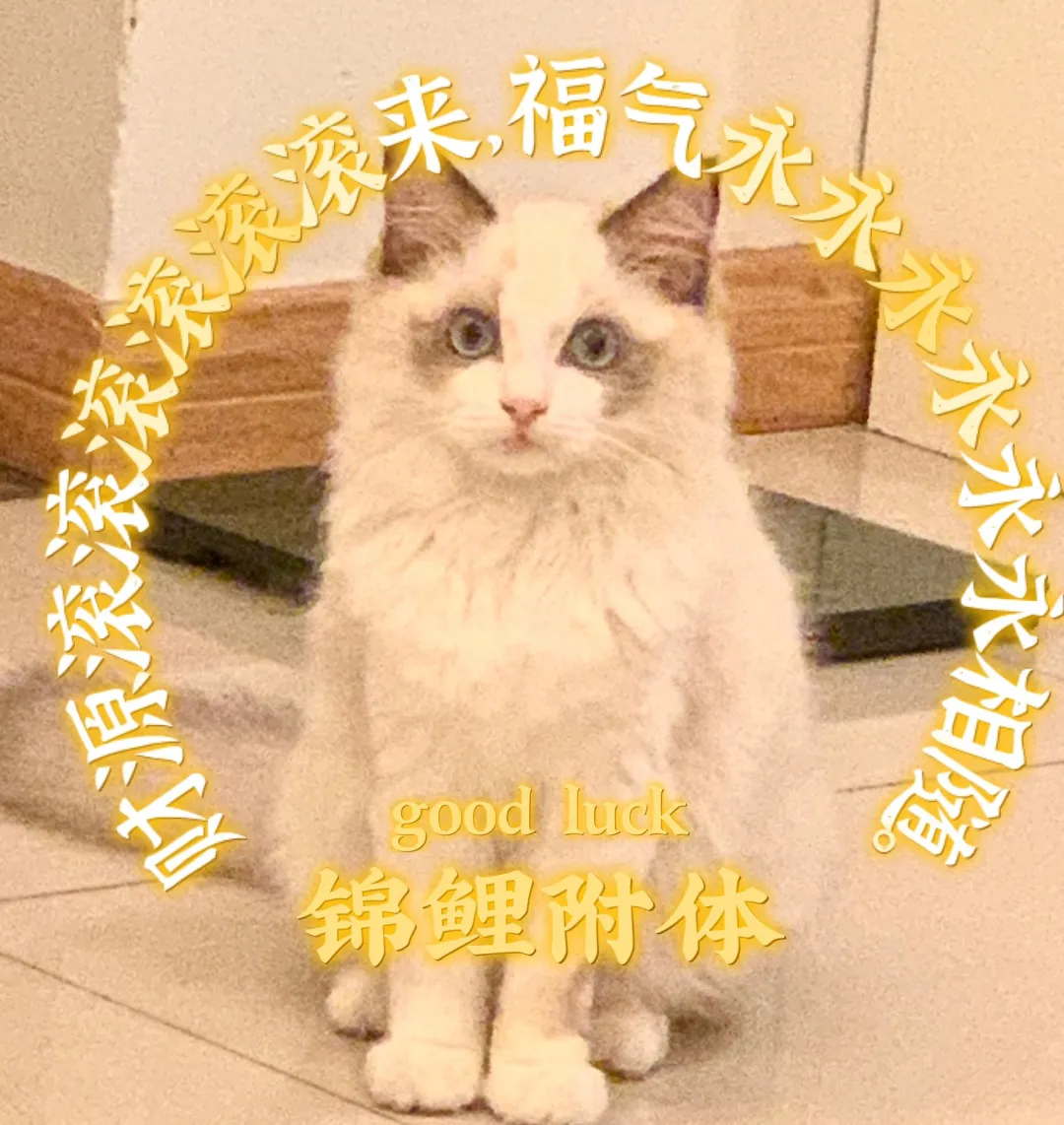 深圳市从业人员职业培训补贴信息管理系统,深圳市职业技能培训补贴查询