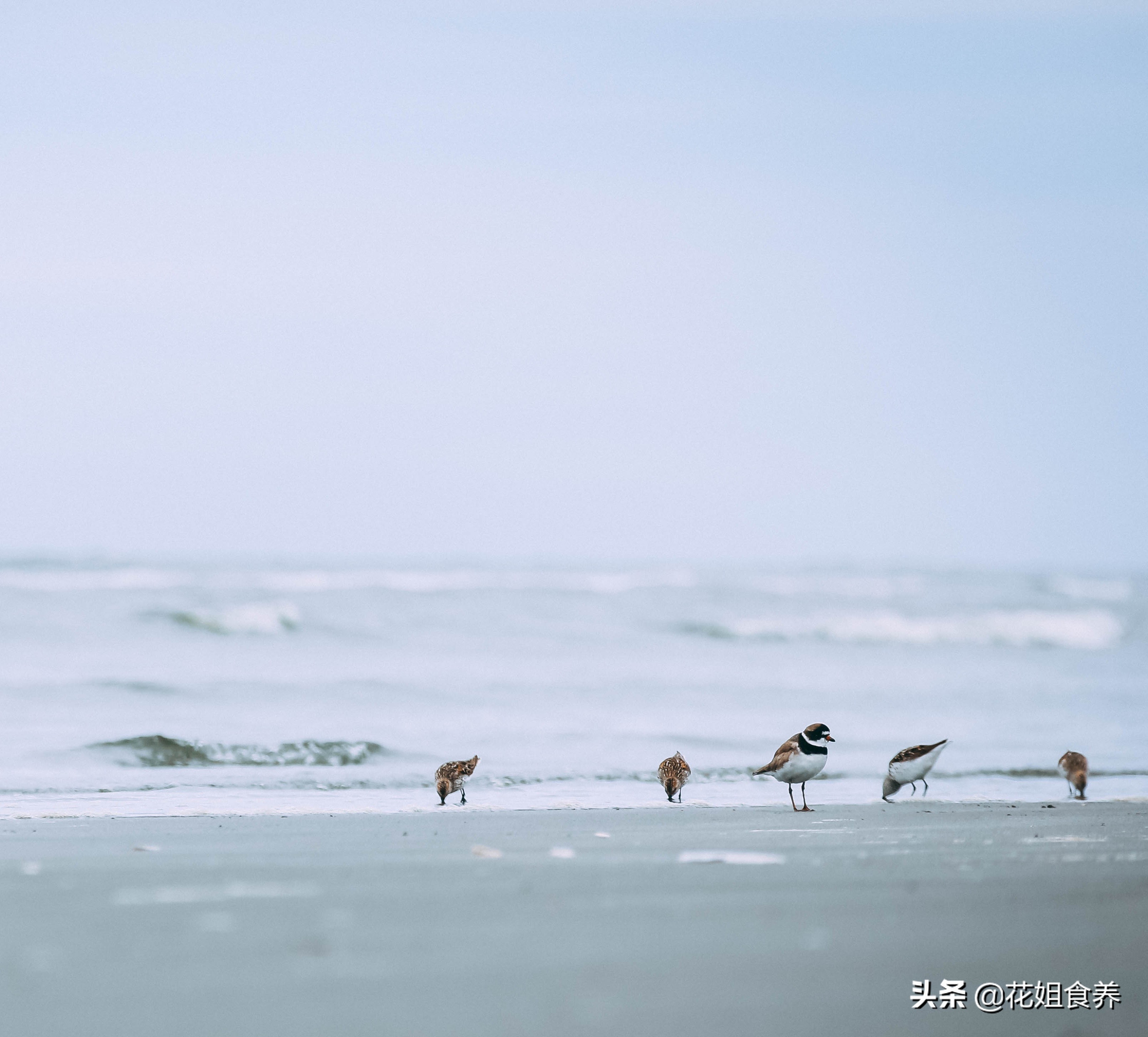 節氣養生｜連雨不知春去，一晴方覺夏深。 立夏必須注意這2件事