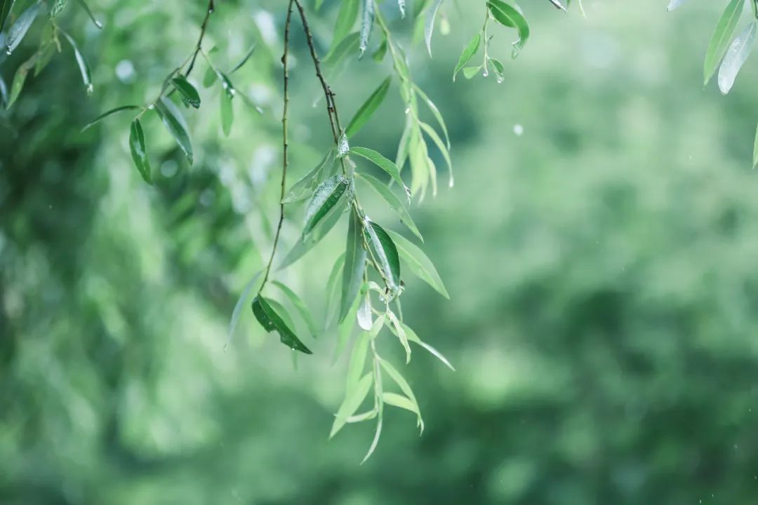 苏轼外出游玩突遇大雨，写下一首旷达词，抚慰无数受伤的心