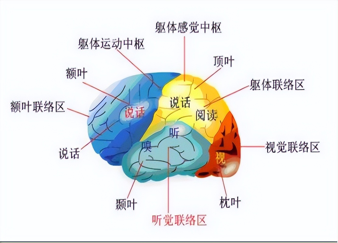 散步是最好的运动方式经常散步的人身体发生了什么变化