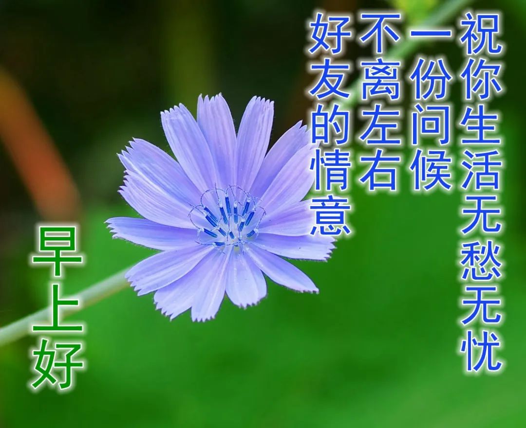 快乐开心早上好祝福图片 美好祝福早安问候图片