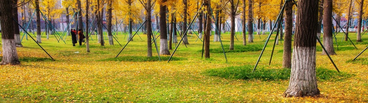 成都电子科技大学，作为IT界扛把子，只有2个双一流学科？