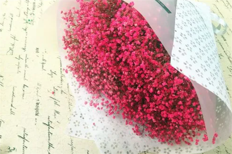 盘点：6种满天星颜色的寓意，最后一种颜色的满天星，生活中少见