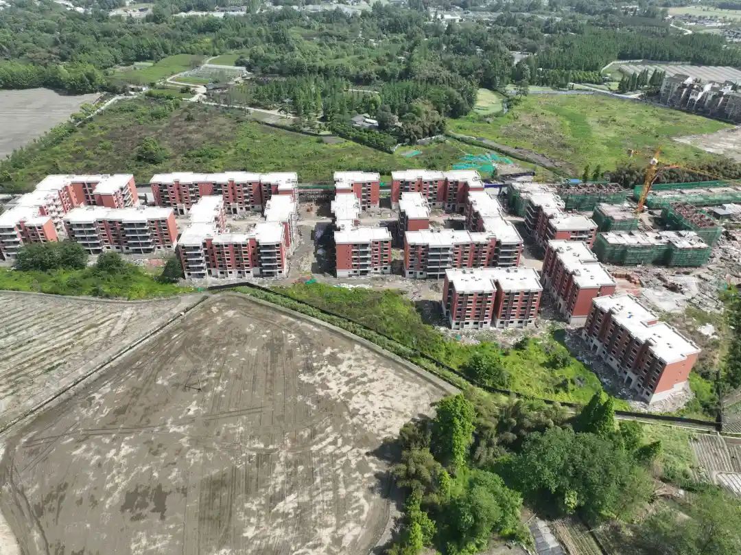 詮釋公園城市鄉(xiāng)村表達(dá)！鄉(xiāng)村振興集成示范漢姜片區(qū)加快建設(shè)