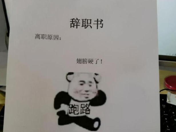 00后硬核“离职理由”走红，直戳老板内心，并直言“有钱真好”