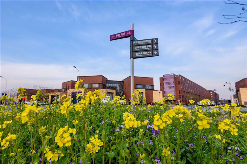 南开大学2022年艺术类招生58人，录取需要文化高出一本线多少分？